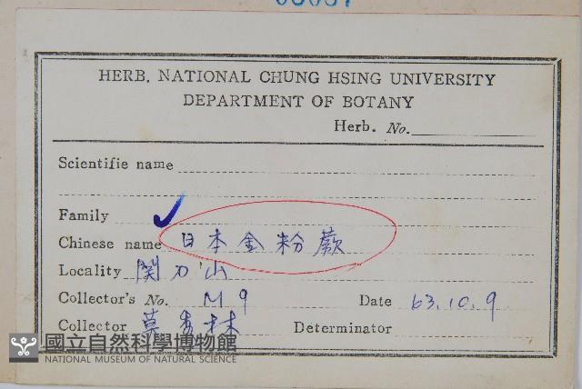 日本金粉蕨藏品圖，第2張
