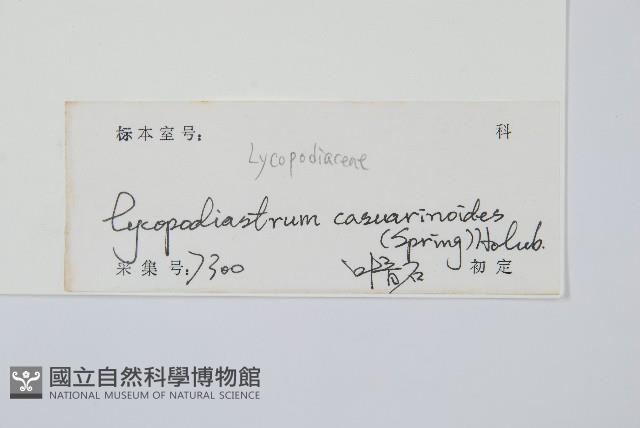 藤石松藏品圖，第2張