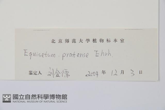 草問荊藏品圖，第2張