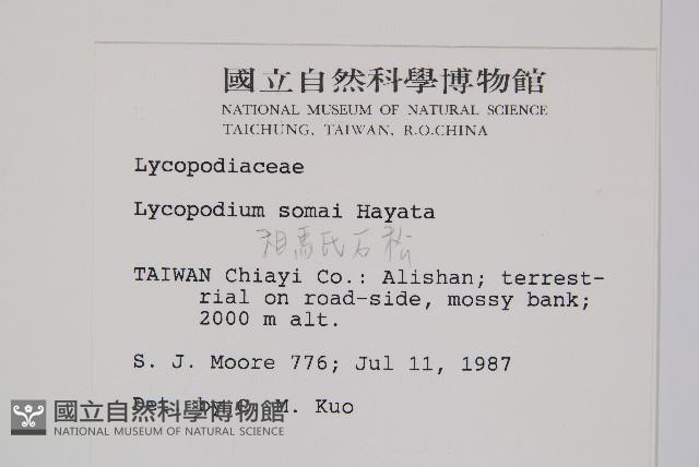 相馬氏石松藏品圖，第2張