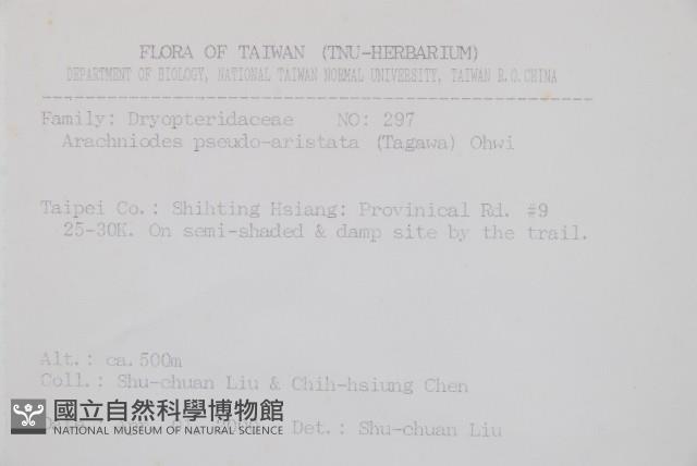 小葉複葉耳蕨藏品圖，第2張