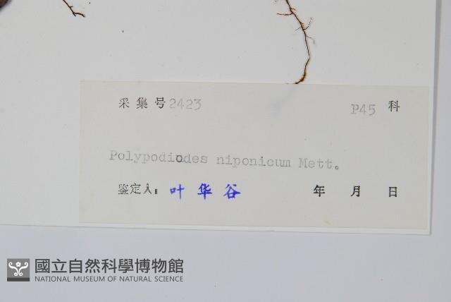 登錄號:P004820藏品圖，第2張