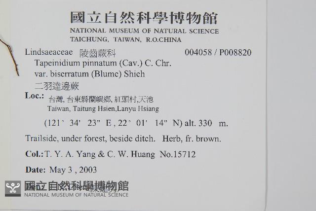 二羽達邊蕨藏品圖，第2張