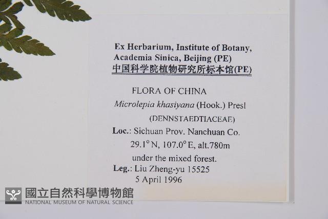 Accession Number:P005700 Collection Image, Figure 2, Total 5 Figures