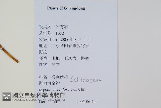 海南海金沙藏品圖，第1張