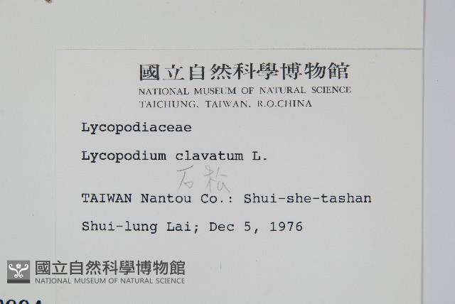 石松藏品圖，第2張