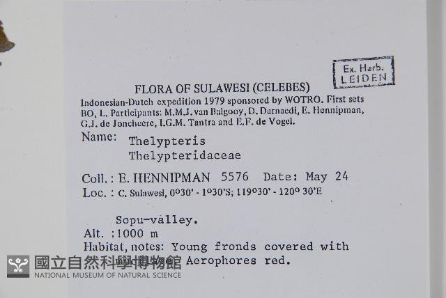 Accession Number:P005600 Collection Image, Figure 2, Total 2 Figures