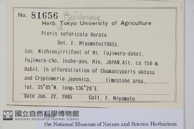 登錄號:P012800藏品圖，第2張