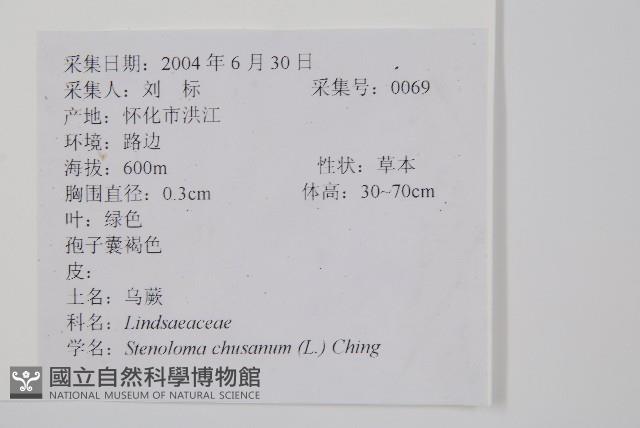 烏蕨藏品圖，第2張