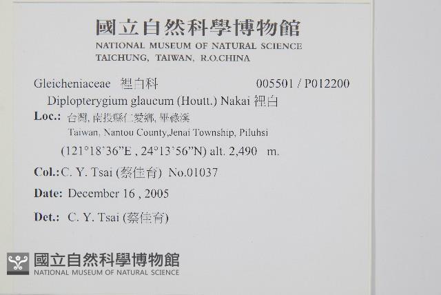 裡白藏品圖，第2張