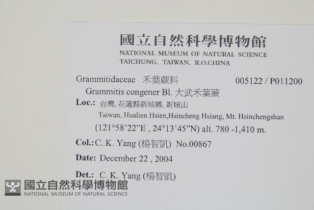 Accession Number:P011200 Collection Image, Figure 2, Total 2 Figures