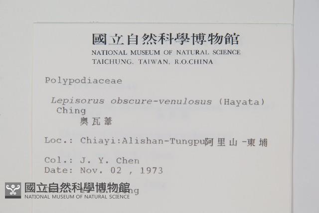 粵瓦葦藏品圖，第2張