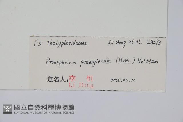 Accession Number:P010810 Collection Image, Figure 2, Total 2 Figures