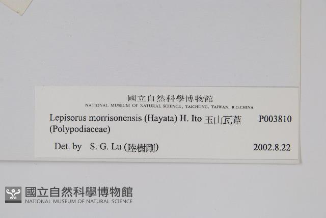 玉山瓦葦藏品圖，第2張