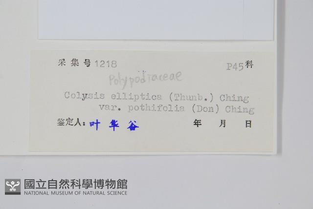 登錄號:P004950藏品圖，第2張