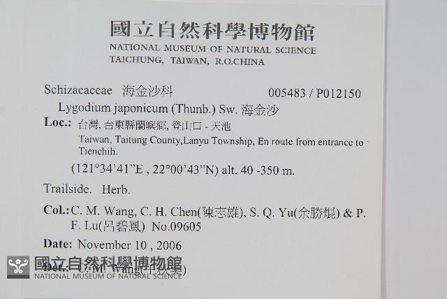 海金沙藏品圖，第2張