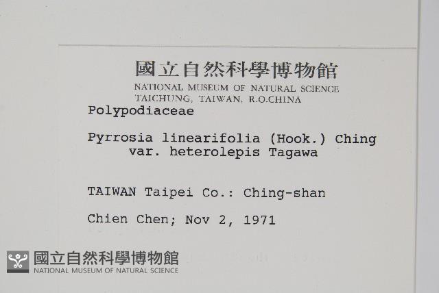 登錄號:P000750藏品圖，第2張