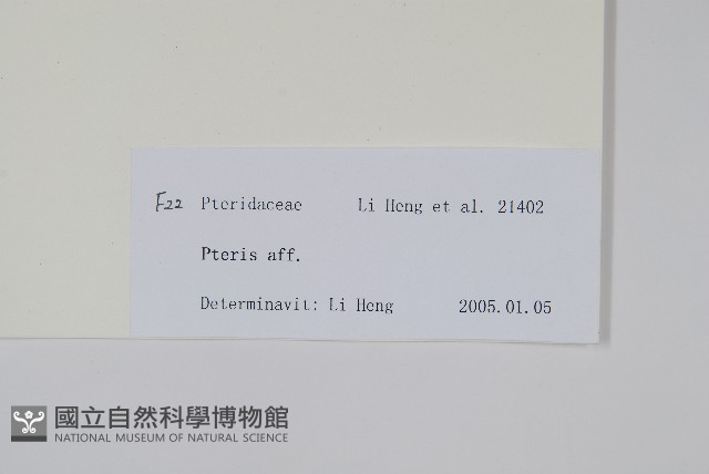 登錄號:P010750藏品圖，第2張
