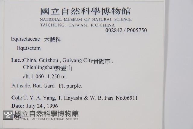 登錄號:P005750藏品圖，第2張