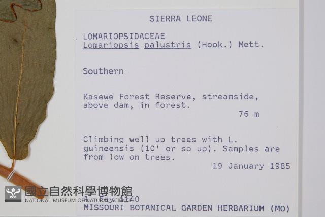 登錄號:P010050藏品圖，第2張