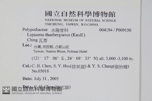 瓦葦藏品圖，第2張