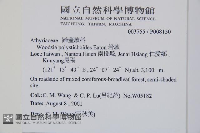 岩蕨藏品圖，第2張