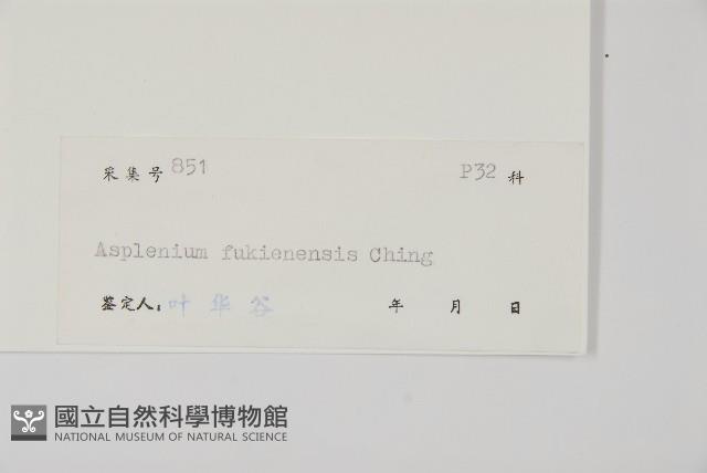 登錄號:P004850藏品圖，第2張