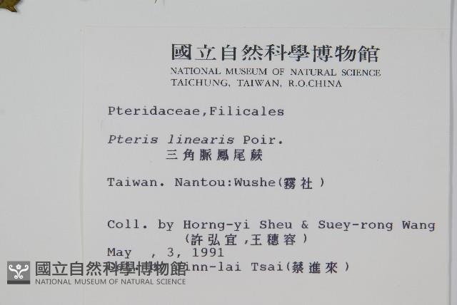 Accession Number:P002190 Collection Image, Figure 2, Total 2 Figures