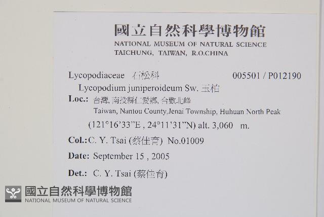 玉柏藏品圖，第2張