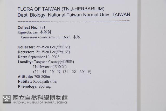 木賊藏品圖，第2張