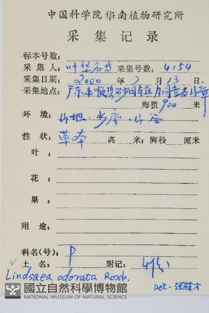 陵齒蕨、鱗始蕨藏品圖，第2張