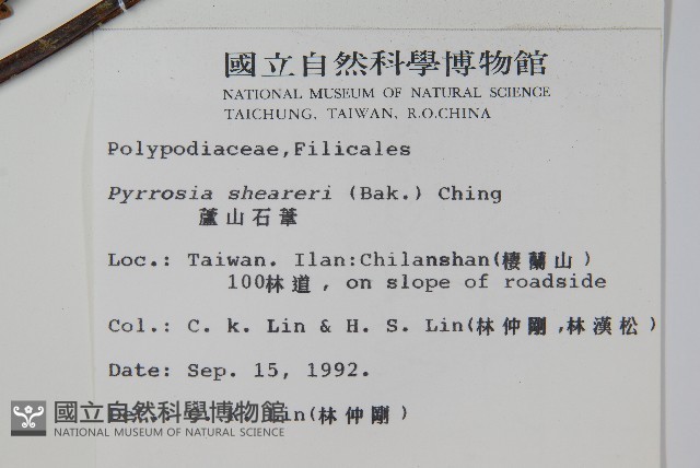 盧山石葦藏品圖，第2張