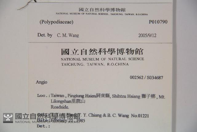 登錄號:P010790藏品圖，第2張