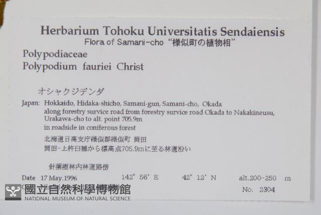 登錄號:P008090藏品圖，第2張