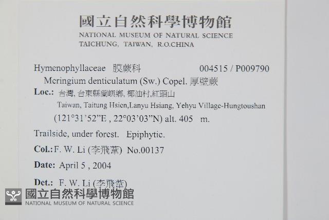 Accession Number:P009790 Collection Image, Figure 2, Total 2 Figures