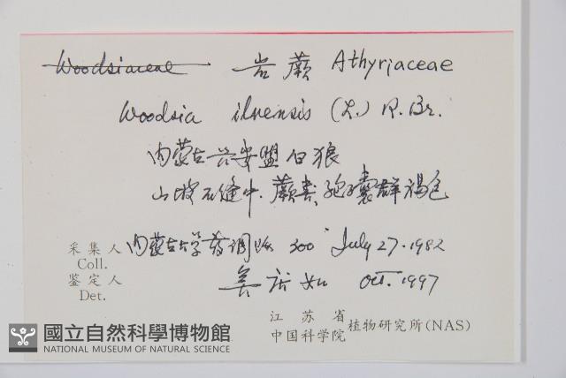 岩蕨藏品圖，第2張