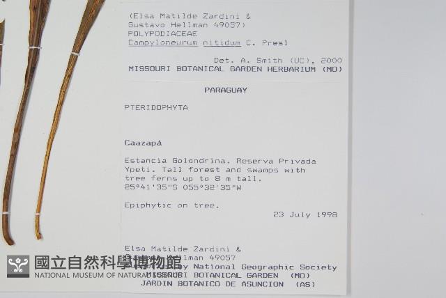 登錄號:P008490藏品圖，第2張