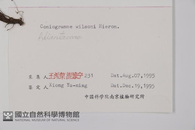 Accession Number:P003390 Collection Image, Figure 5, Total 8 Figures