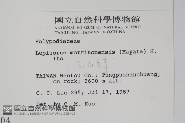 玉山瓦葦藏品圖，第2張