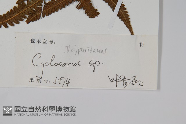 登錄號:P010490藏品圖，第2張