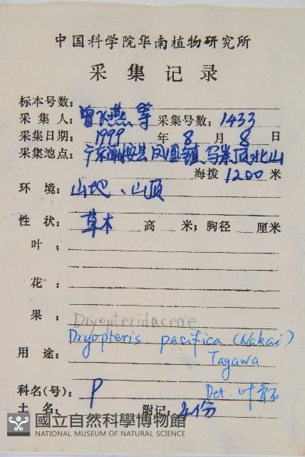 太平鱗毛蕨藏品圖，第2張