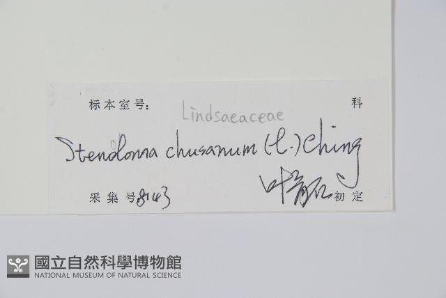 烏蕨藏品圖，第2張