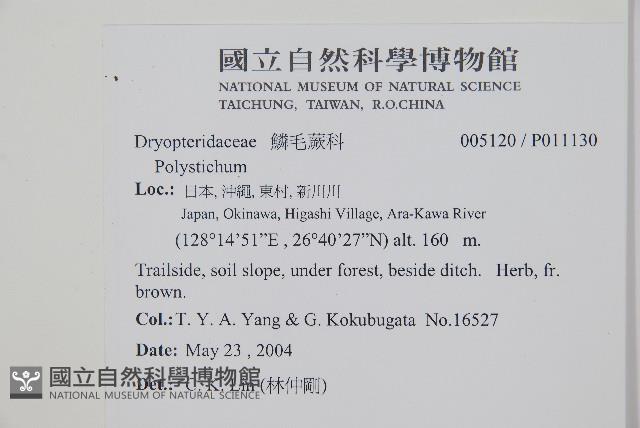 登錄號:P011130藏品圖，第2張