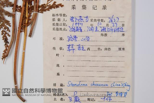 烏蕨藏品圖，第2張