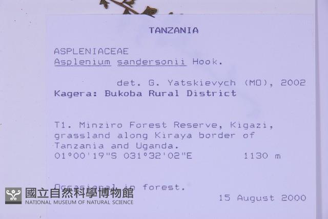 登錄號:P010030藏品圖，第2張