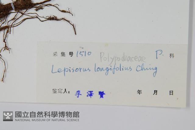 登錄號:P004330藏品圖，第2張