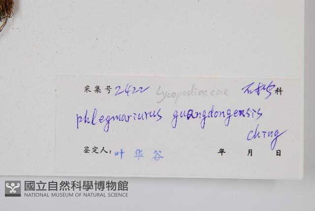 登錄號:P004630藏品圖，第2張