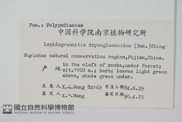 Accession Number:P003430 Collection Image, Figure 2, Total 2 Figures