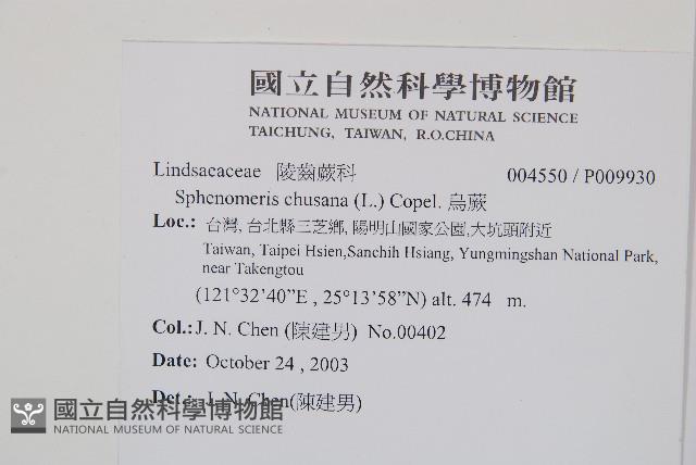 烏蕨藏品圖，第2張