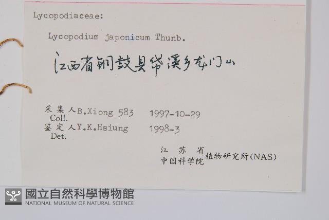 石松藏品圖，第2張